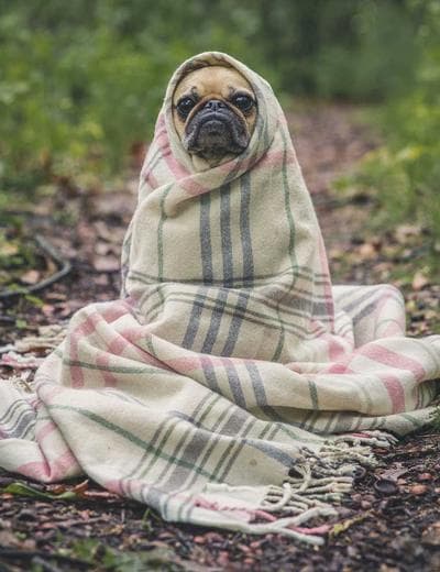 Giới thiệu Game Mod Studio